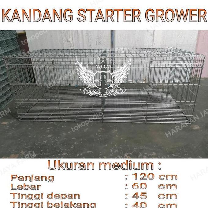 [PROMO] KANDANG BOX STARTER DOC ANAK AYAM