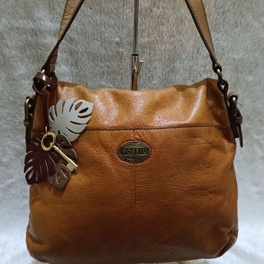 TAS VINTAGE FOSSIL EXPLORER