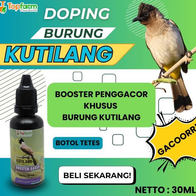 Asligacor- Vitamin Booster Burung Kutilang/ Penggacor Burung Kutilang/ Doping Burung Kutilang Gacor/