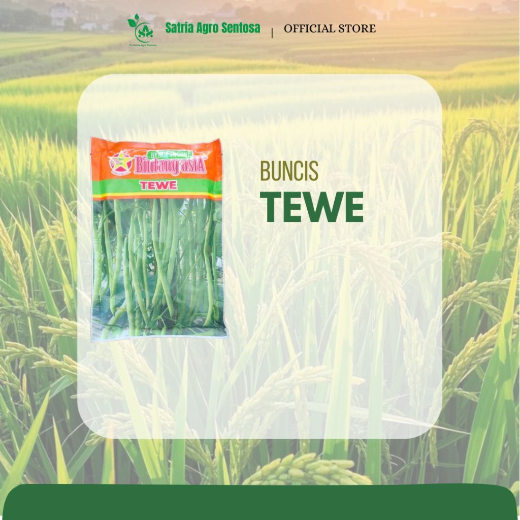 Bintang asia benih buncis tewe 500gr
