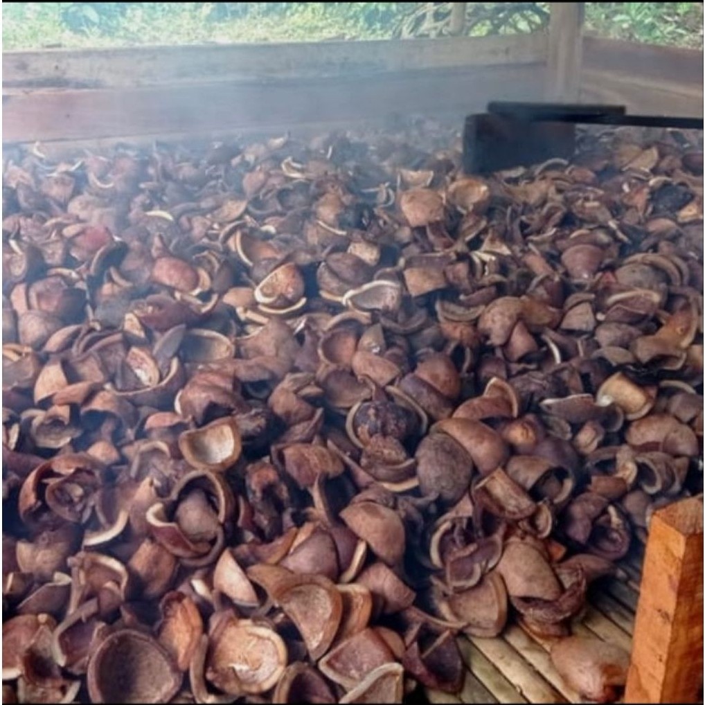 KELAPA KOPRA ATAU KELAPA KERING DAGING TEBAL 1 KG