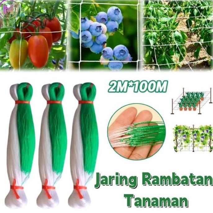 CORNUE [COD]2M X 100M Jaring Rambatan Tanaman/Jaring Net Rambatan Tanaman Untuk Bertani Jaring Ramba