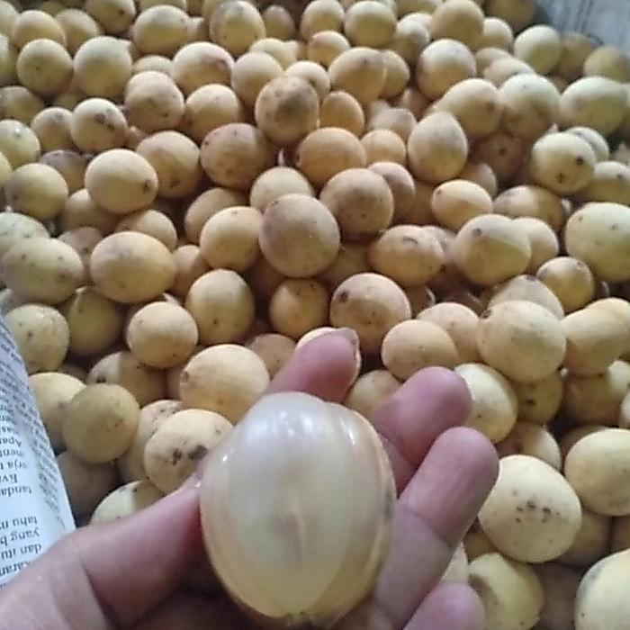 buah duku palembang 1 kg / duku Palembang 1 kg