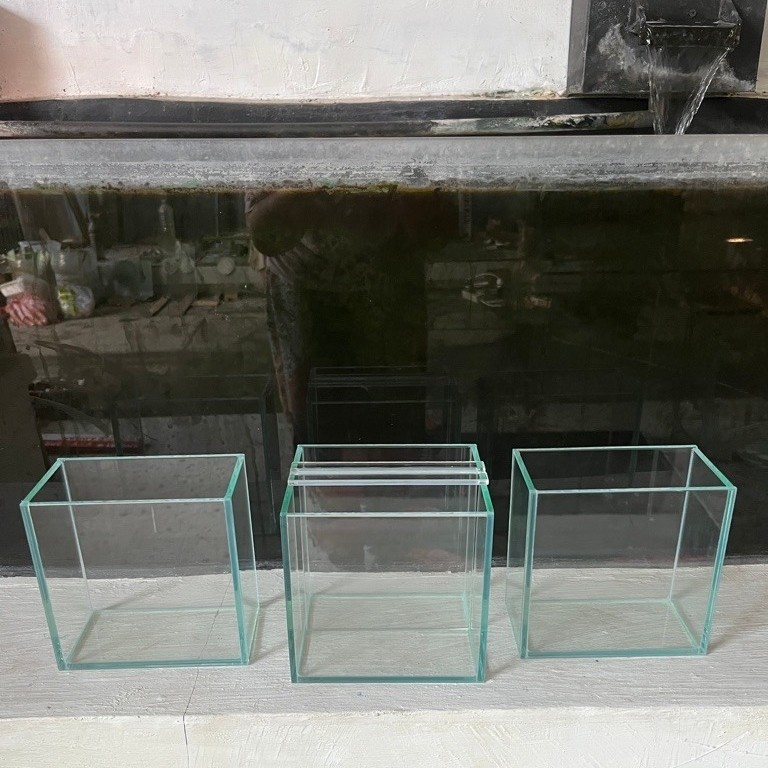 soliter depan optic clear