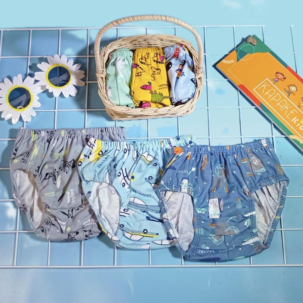 KUALITAS SUPER 10 PCS CD ANAK LAKI LAKI PEREMPUAN LIBBY VELVET JUNIOR BABYDOLL KEMASAN POUCH USIA 1-