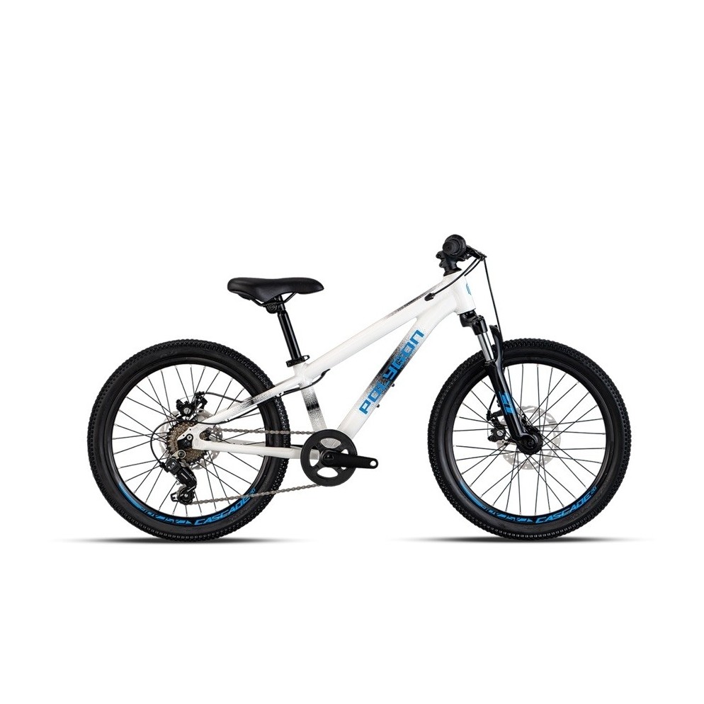 Sepeda Anak MTB Polygon 20 inch Cascade