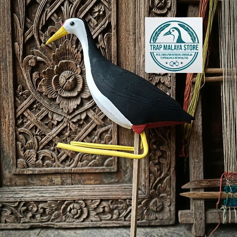 Patung Burung Ruak Ruak // Pemikat Burung Kareo Sawah Desain Realistis, Ukuran Asli Burung Dewasa