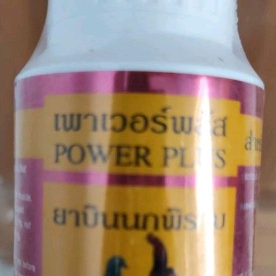 Power plus agresif tenaga ayam merpati