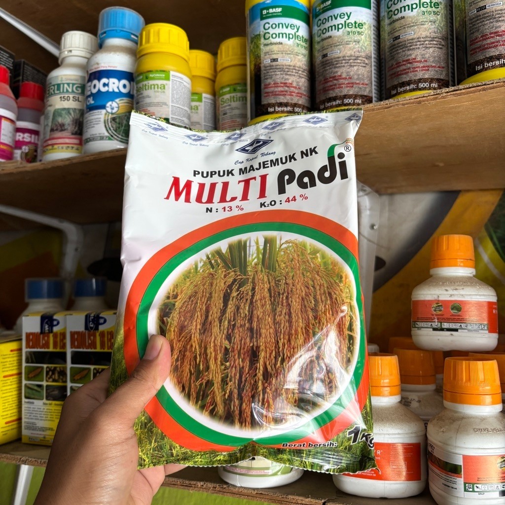 Multi Padi 1 Kg Pupuk Masa Pembuahan Padi Meningkatkan Bobot Bulir Padi Nutrisi Tanaman Padi