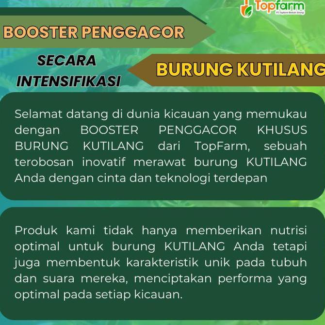 Rajagacor- Vitamin Booster Burung Kutilang/ Penggacor Burung Kutilang/ Doping Burung Kutilang Gacor/