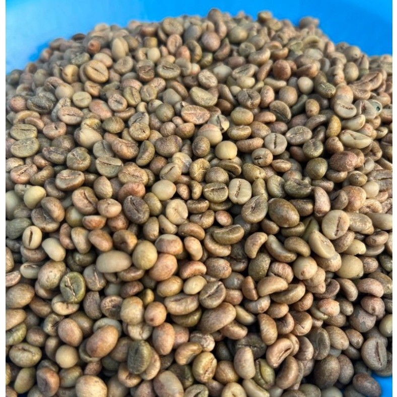 Biji Kopi Mentah Robusta Asli 1kg  1000g