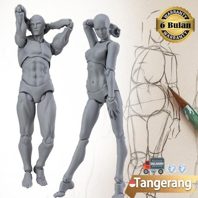 Figuart Body Kun / SHF Body Kun / Action Figure Model Male Female Body Archetype Model