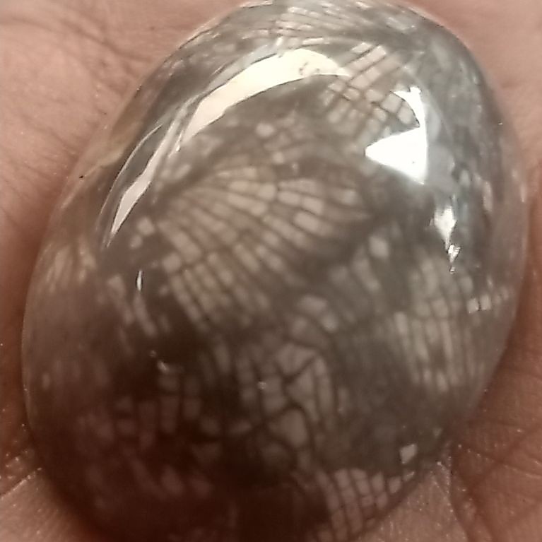 natural  posil kelabang jumbo loston