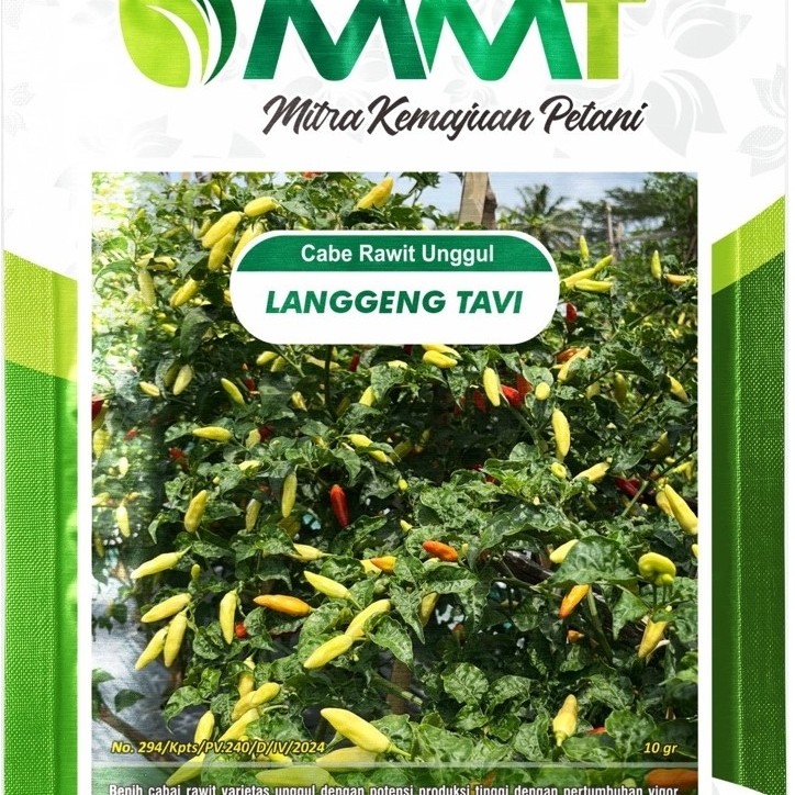 Benih Cabe Rawit Langgeng Tavi - Hasil Tinggi