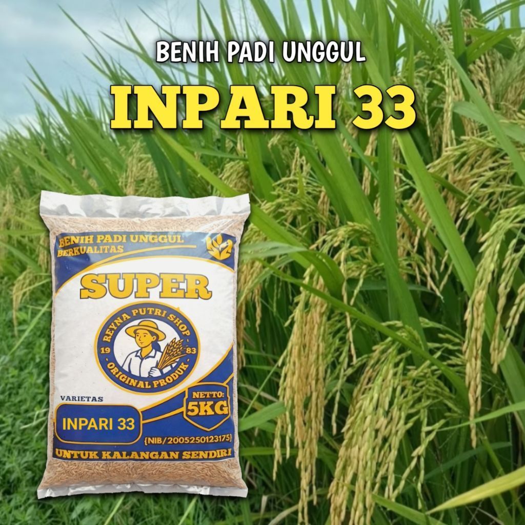 Benih padi inpari 33 bibit pilihan petani 5kg