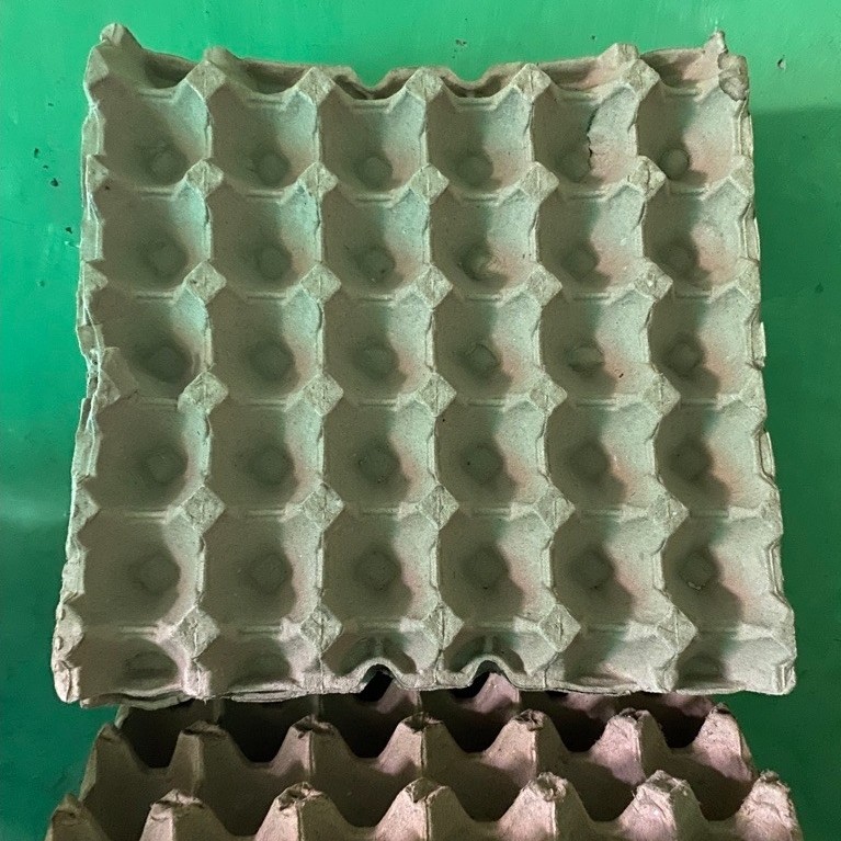 Tray Telur | Egg Tray Karton Bekas Tempat Telur 30butir