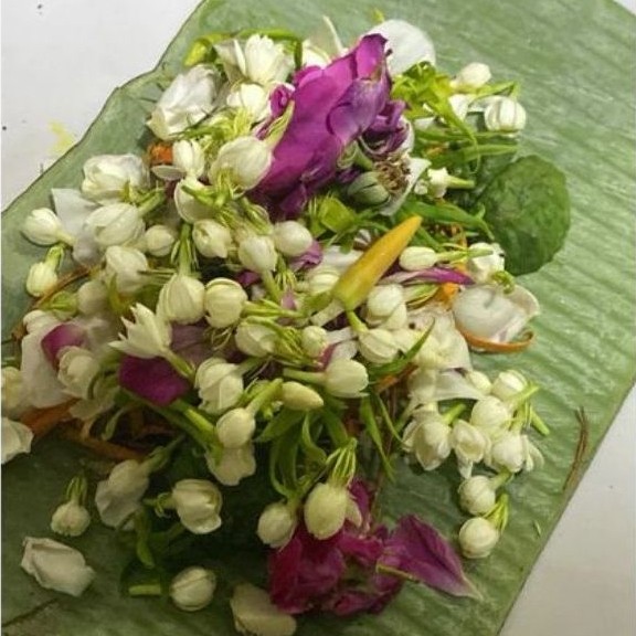 Bunga macan kerah untuk mandi segar - untuk jamu fresh , pengiriman setiap hari