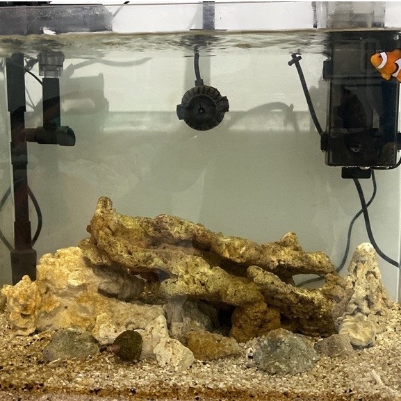 Aquarium kaca Fishland 50 cm