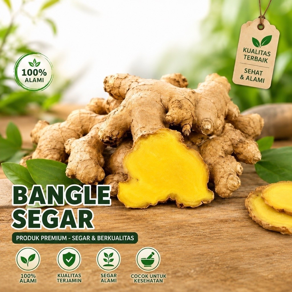 Bangle Segar | Rimpang Bangle Fresh | Bangle Herbal Alami