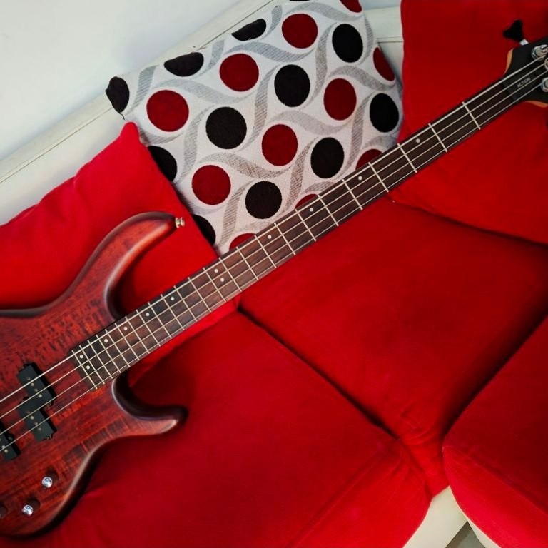 bass cort action iv