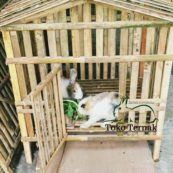 Kandang Kelinci Dari Bambu