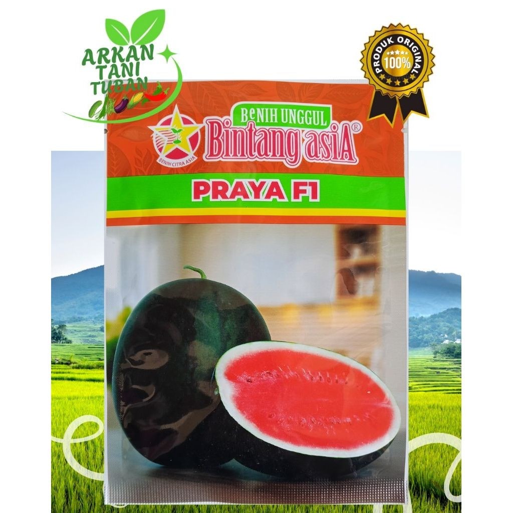 BENIH SEMANGKA PRAYA F1 20 GRAM - BINTANG ASIA