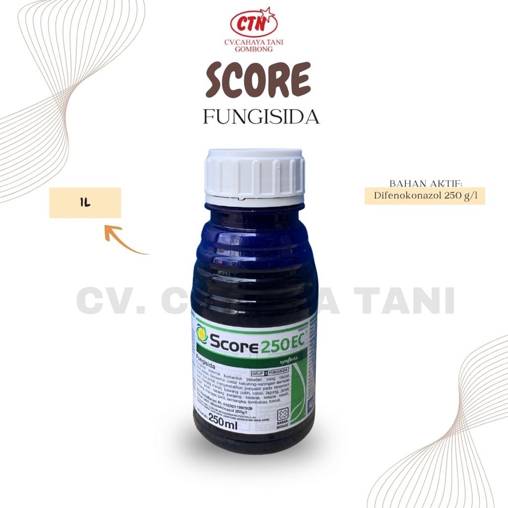 Obat Padi Score