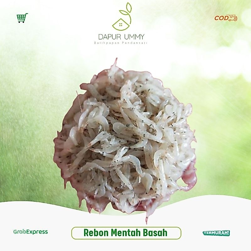 REBON • Rebon Mentah • Rebon Basah