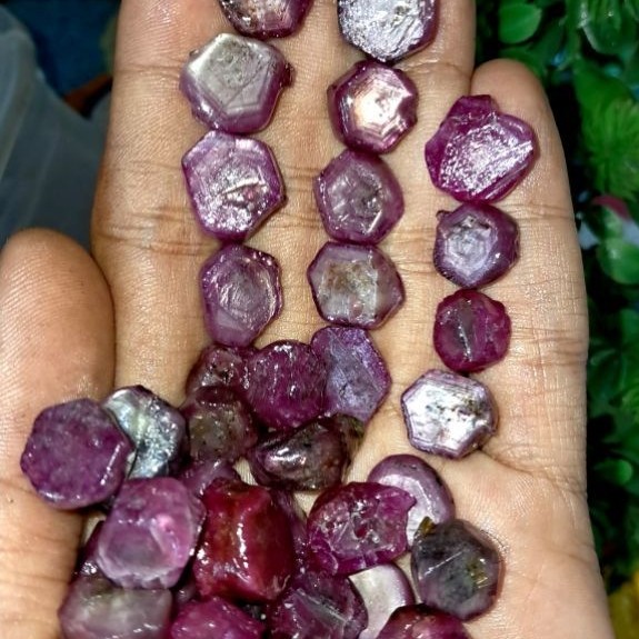 bahan ruby fatwa