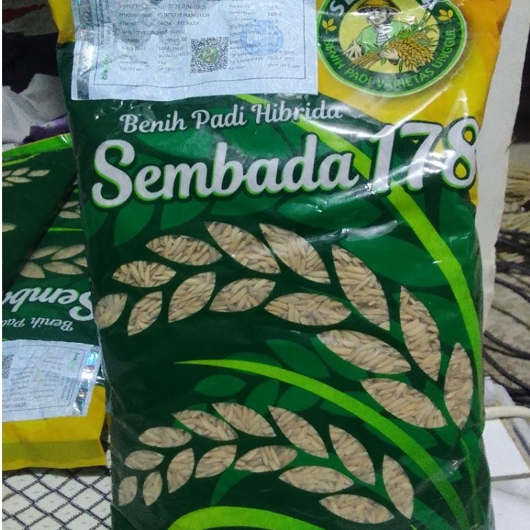 benih padi sembada 178
