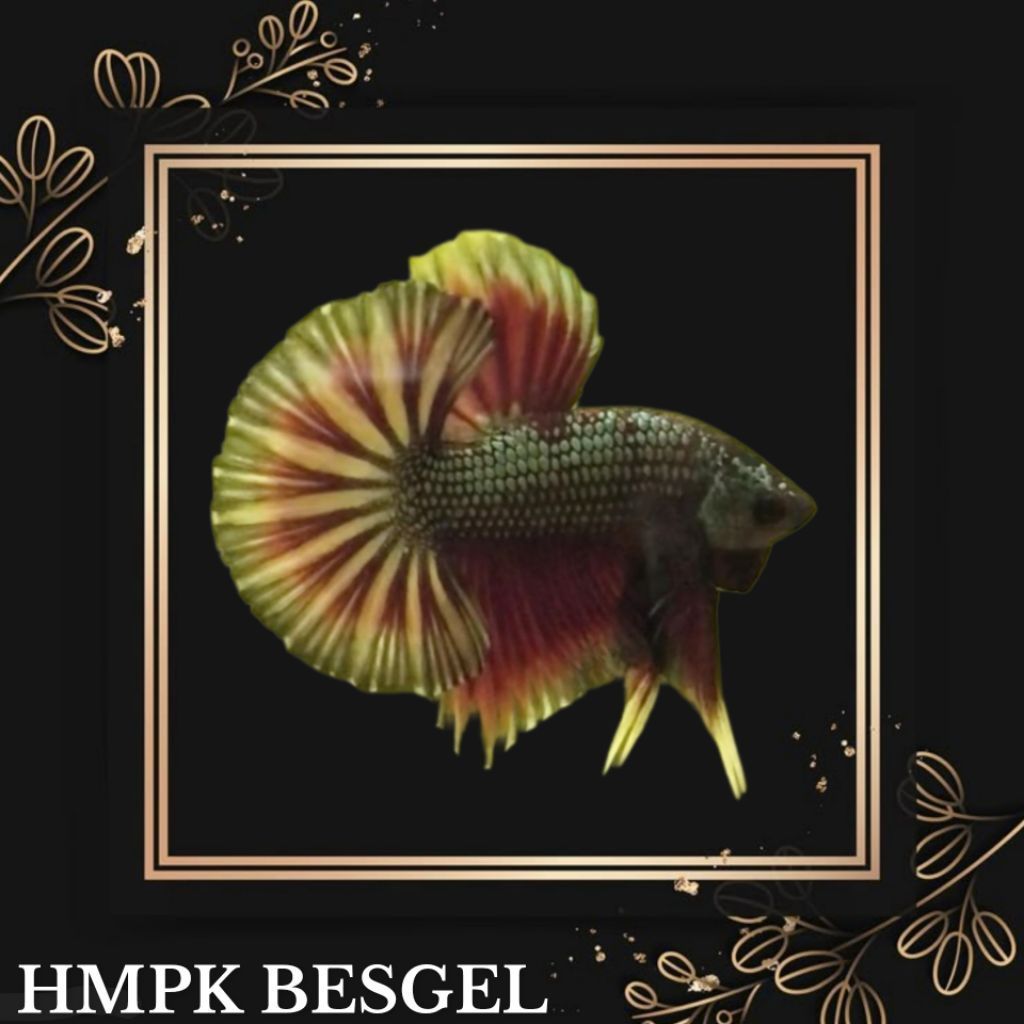 Form SNI HMPK BESGEL Bahanan