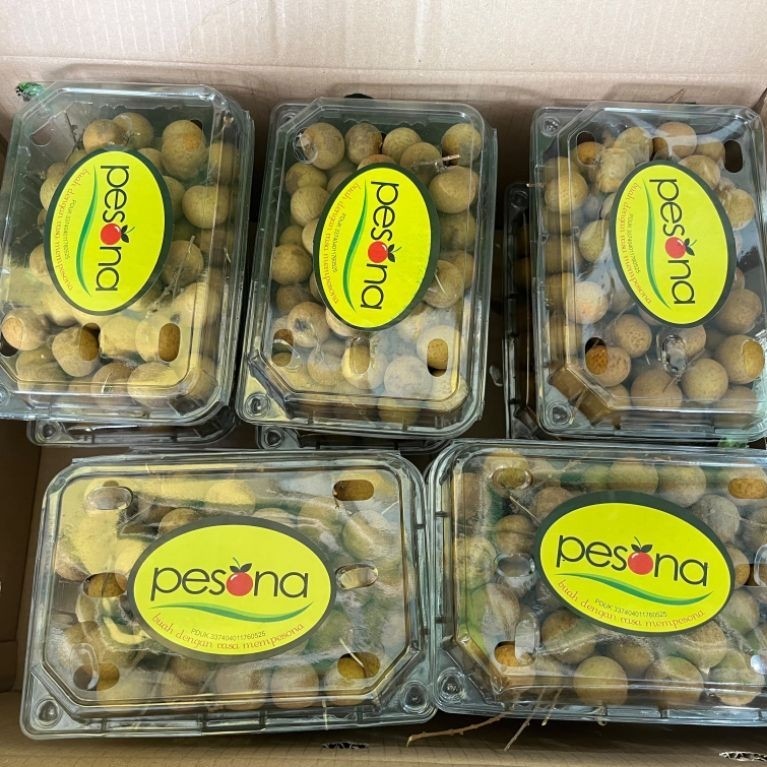 KELENGKENG JUMBO IBANA PESONA 1kg