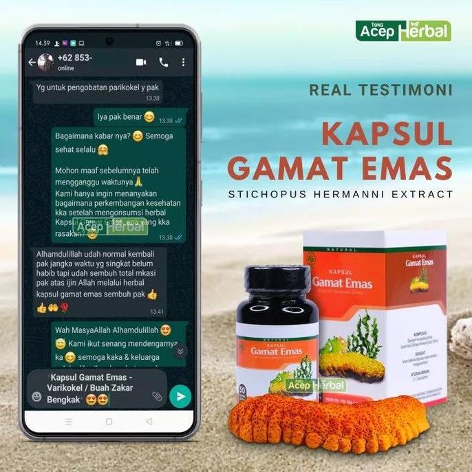 Farma- Kapsul Gamat Emas , Kapsul Gamat, Gamat Kapsul