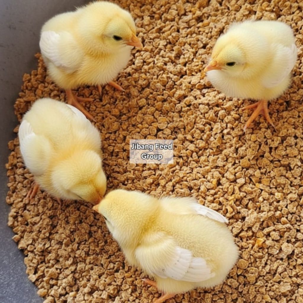 pakan ayam pedaging  pur ayam kiloan