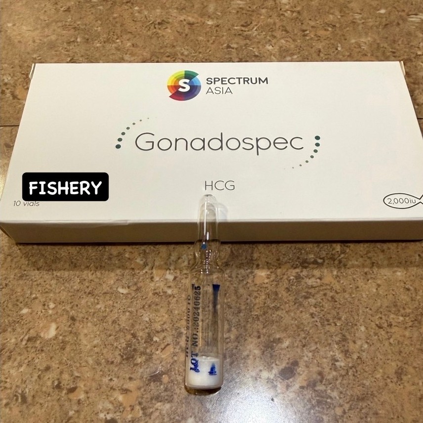 Gonadospec - Hormon Ikan HCG