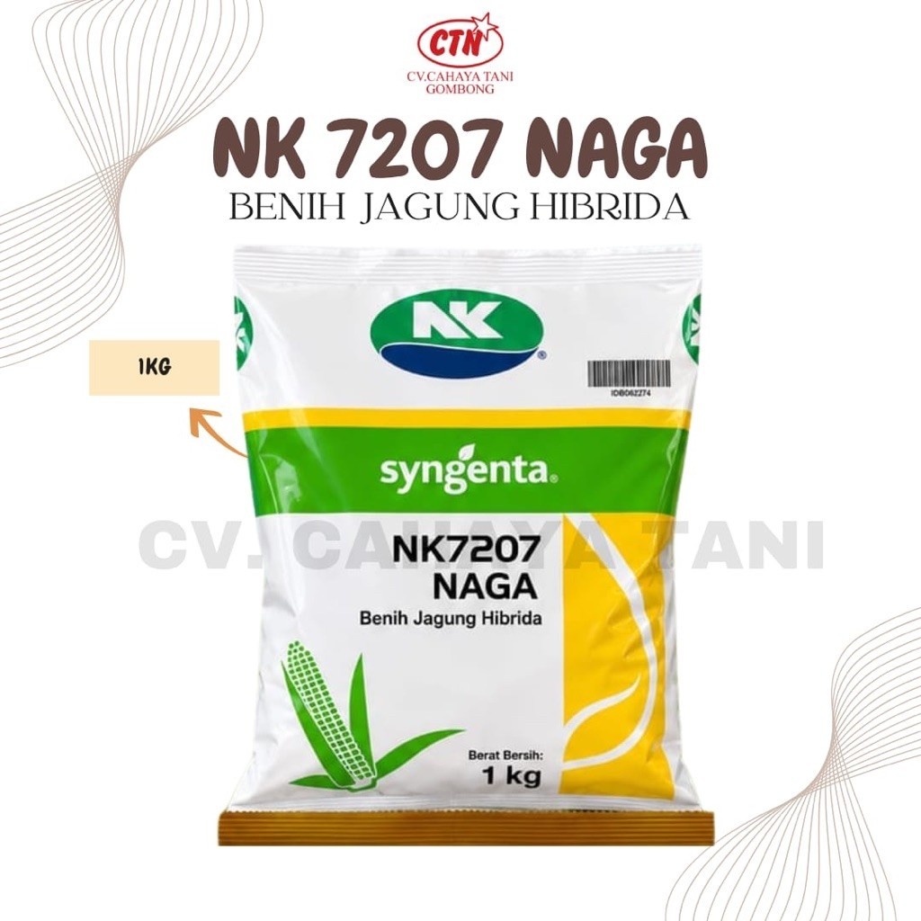Benih Jagung Syngenta Hibrida Nk 7207 NAGA