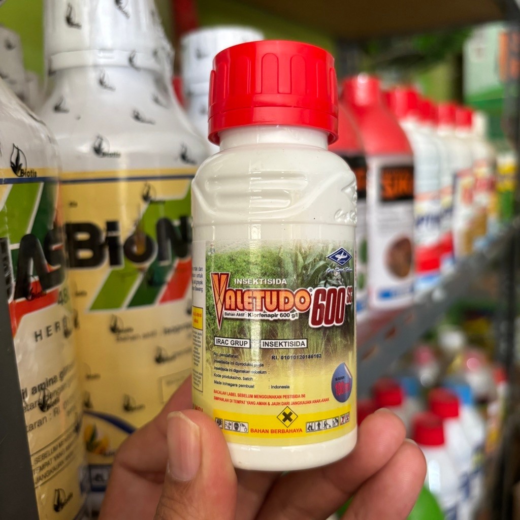 Insektisida Valetudo 600 SC