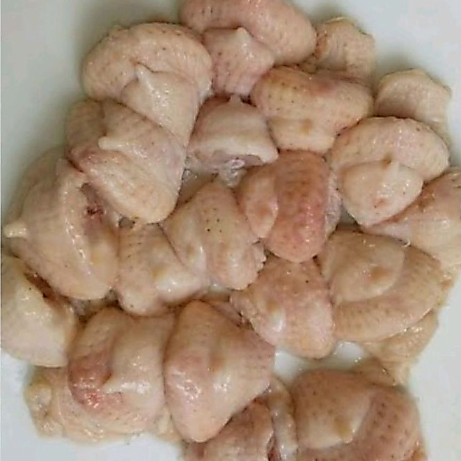 Tungir Ayam Brutu