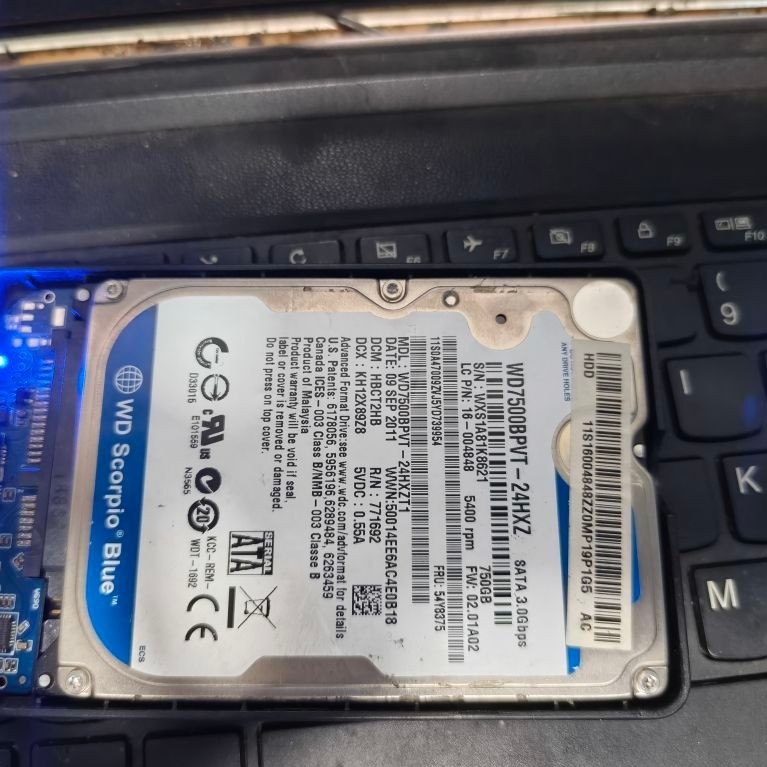 harddisk sata 750gb sentinel 100%
