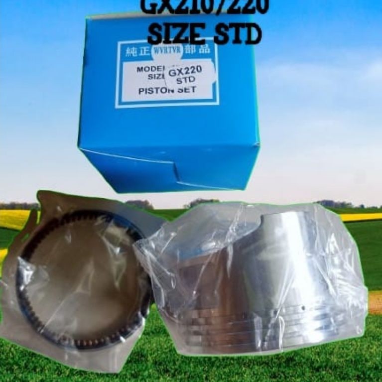 Piston assy gx 210/220