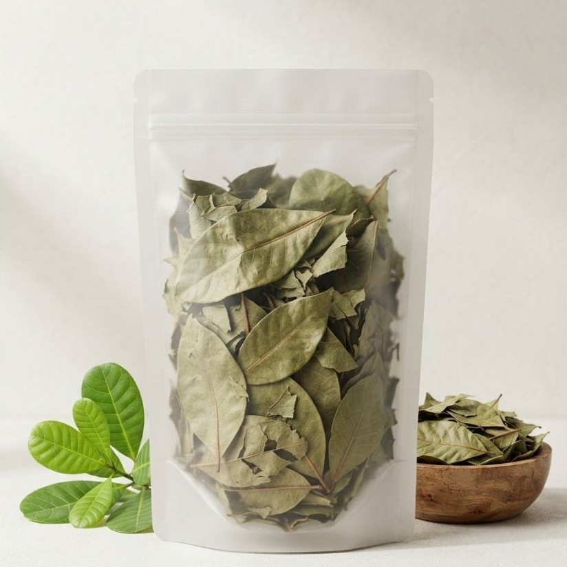 HerbaKu Daun Jambu Mete Kering 100gr | Simplisia Herbal Alami