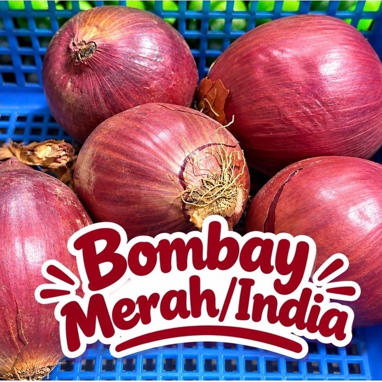 Bawang Merah Bombay India Bawang Merah Segar untuk Masak