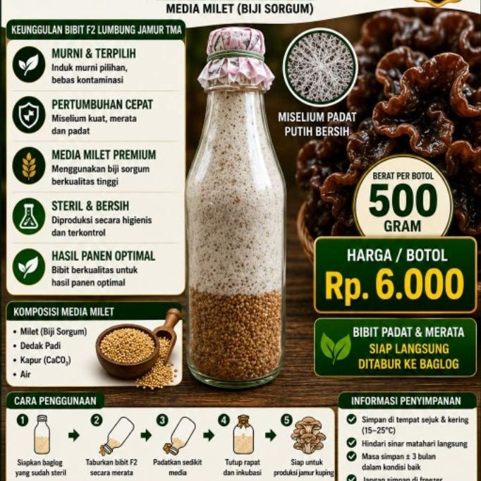 Bibit F2 Jamur Kuping