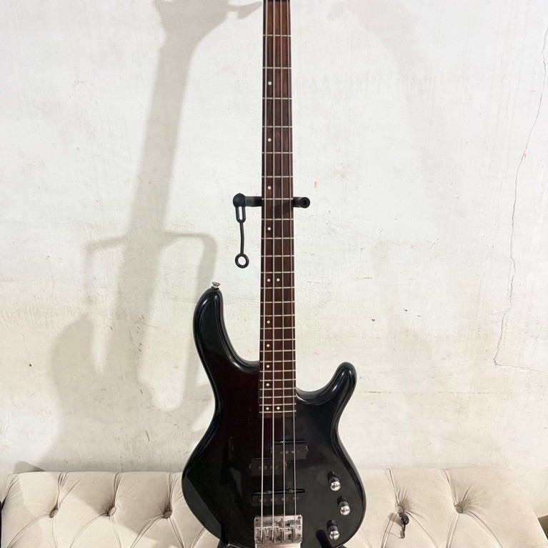 Bass Cort Action