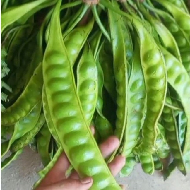 Petai Super