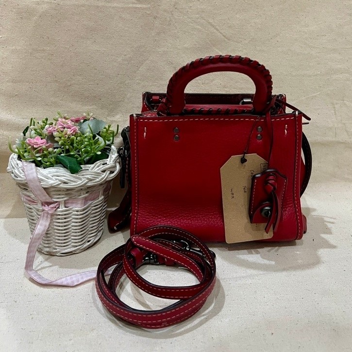 TAS ROGUE 17 MINI RED