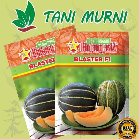 PROMO BENIH BIBIT BLEWAH BLASTER F1 15 GR / Benih BIBIT BLEWAH BLASTER F1 ORIGINAL DISKON