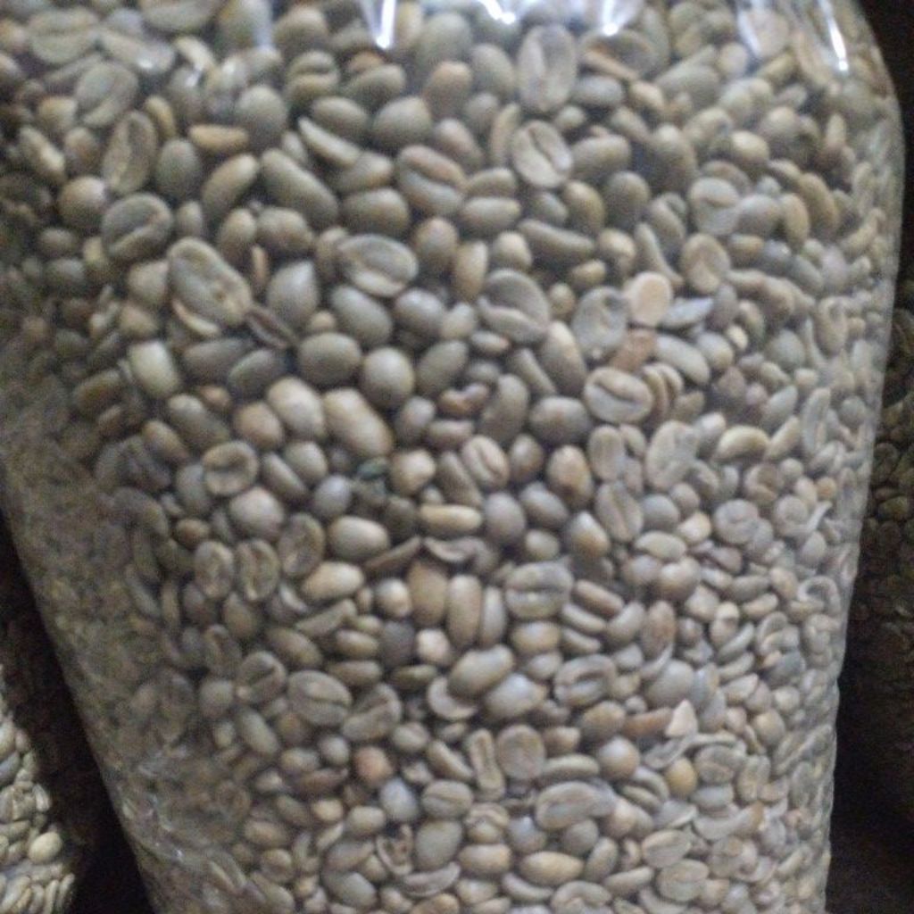 kopi greenbean arabika sumbing
