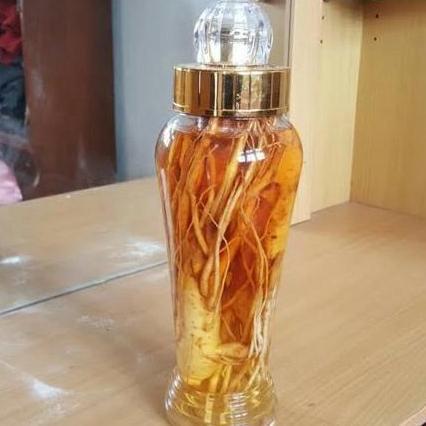 ginseng korea asli lengkap botol