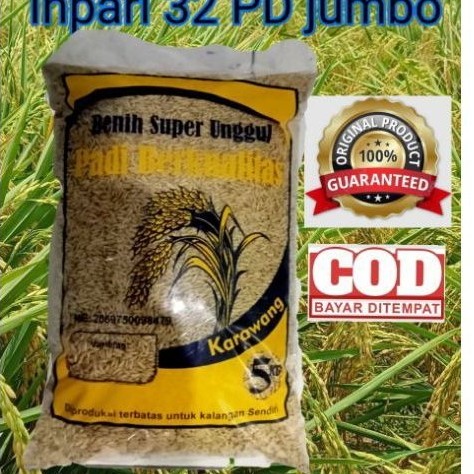 Benih padi Inpari 32 PD jumbo 5kg super